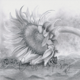Macro close-up, image showing the intense, velvety texture of a finished drawing